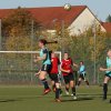 Bornaer SV - SpG Doebeln-Hartha 15.10.2017  (10)